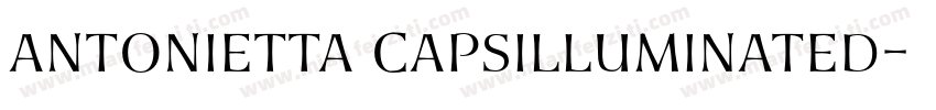 Antonietta CapsIlluminated字体转换